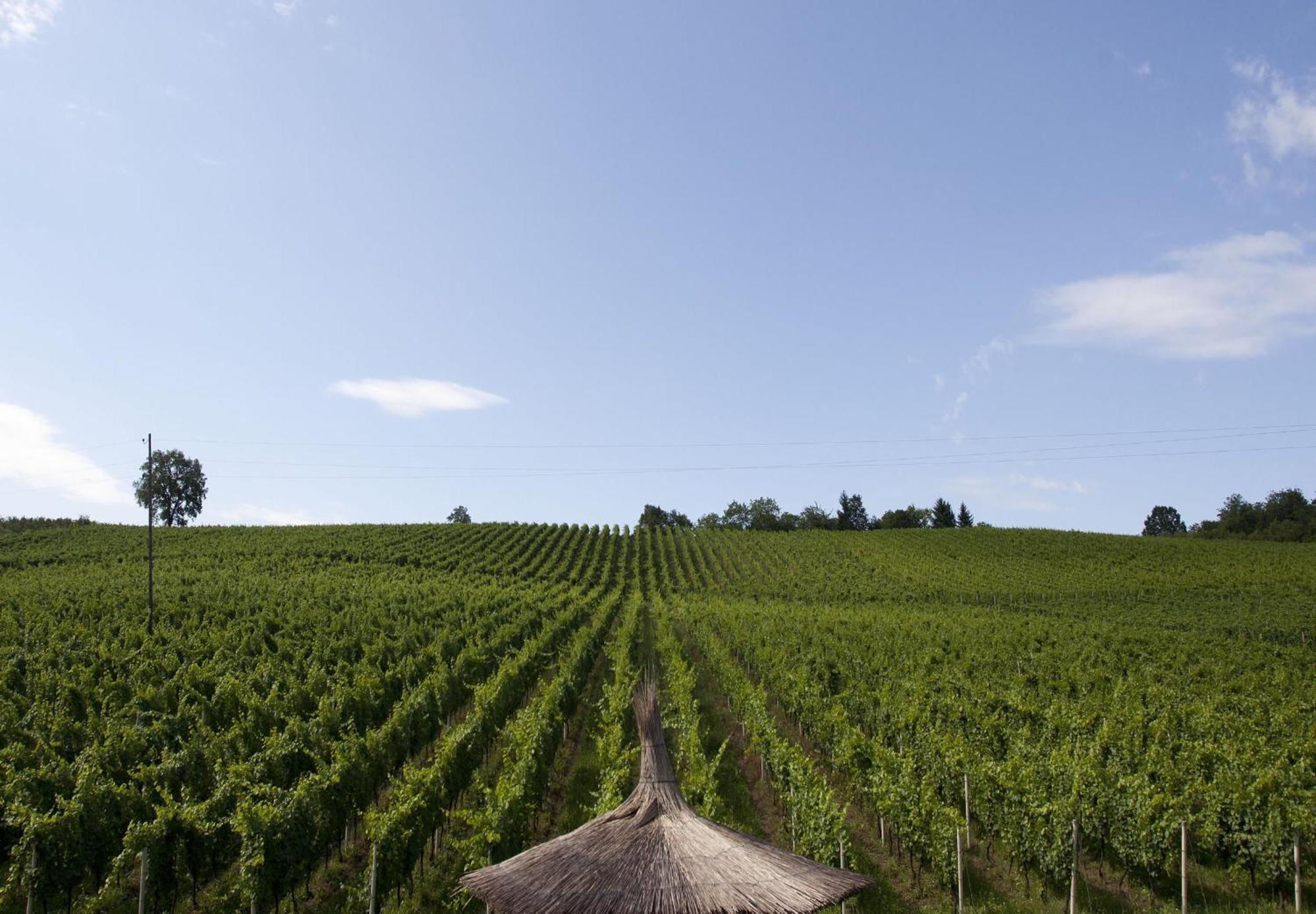 Stupnicki Dvori Winery Hotel Бродскі-Ступнік Екстер'єр фото