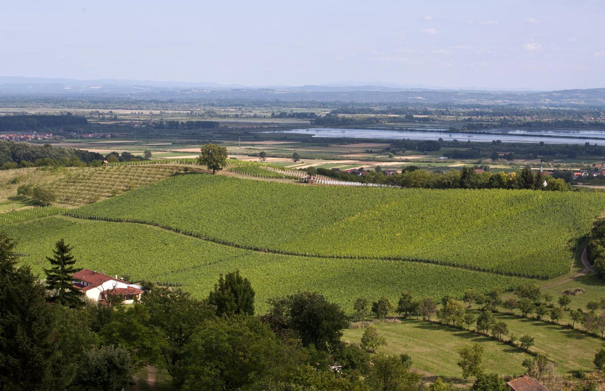 Stupnicki Dvori Winery Hotel Бродскі-Ступнік Екстер'єр фото