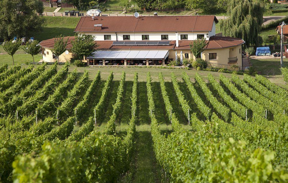 Stupnicki Dvori Winery Hotel Бродскі-Ступнік Екстер'єр фото