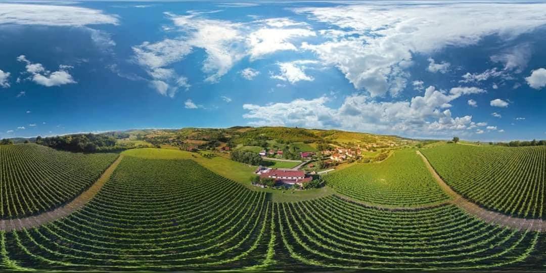Stupnicki Dvori Winery Hotel Бродскі-Ступнік Екстер'єр фото