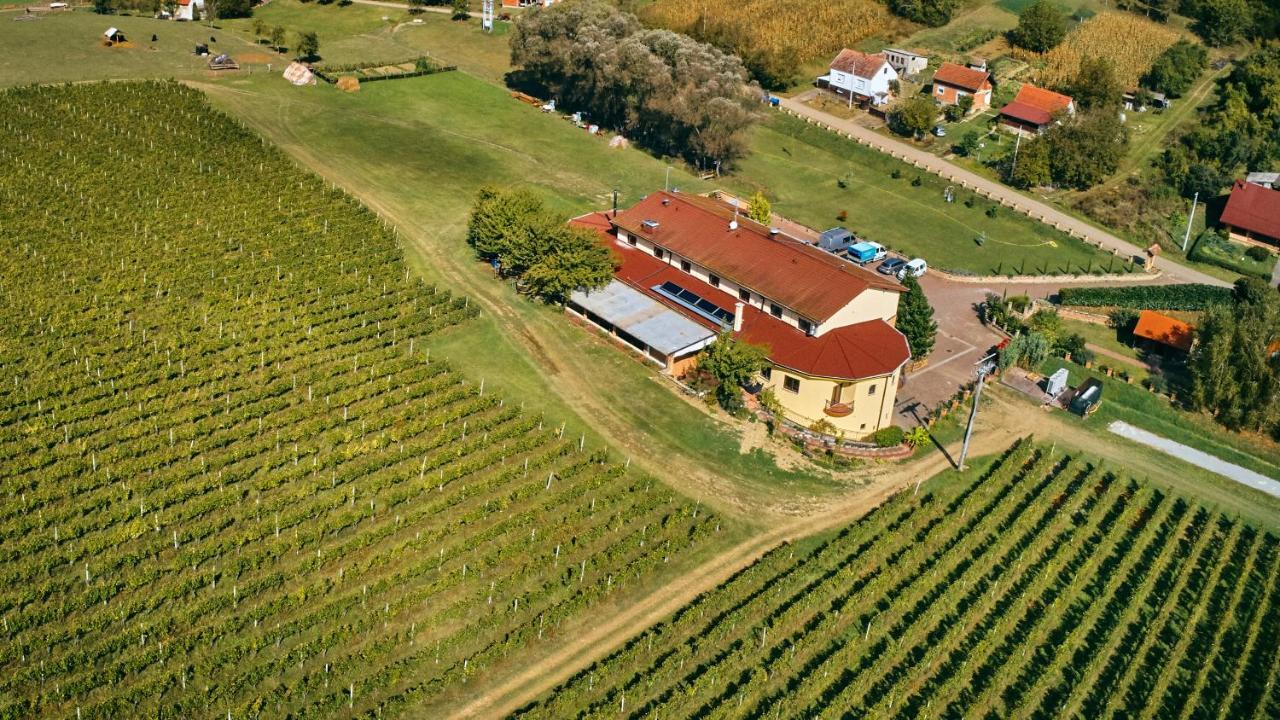 Stupnicki Dvori Winery Hotel Бродскі-Ступнік Екстер'єр фото